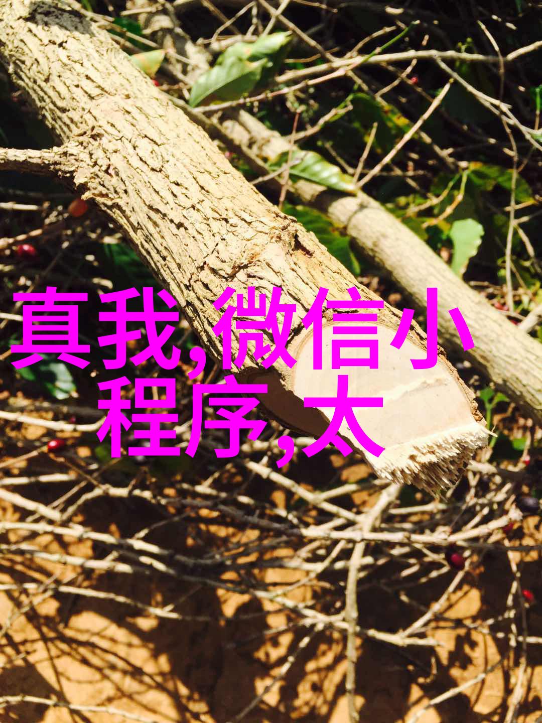 不锈钢波纹板填料工业级耐腐蚀的金属装饰材料