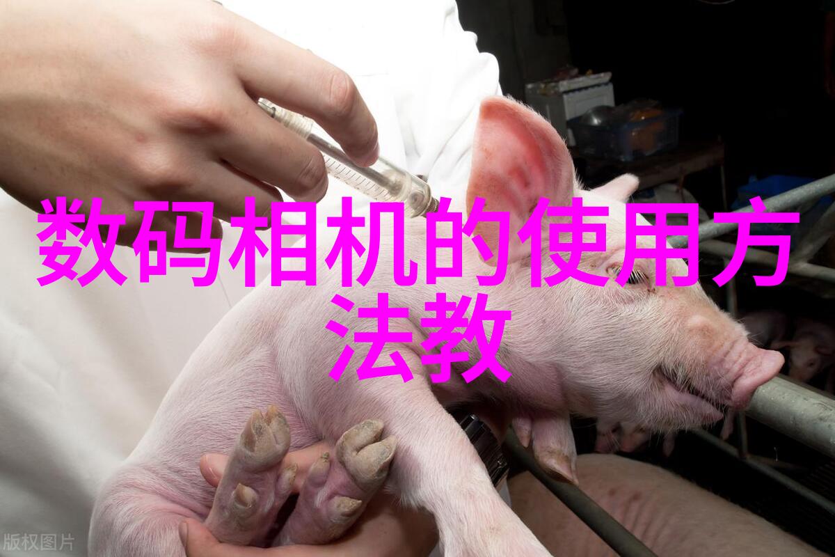 无人操作杀菌革命全自动灭菌器如何重塑医疗设备清洁标准