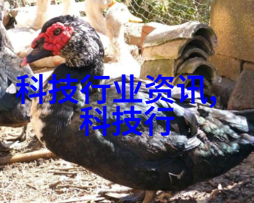 哔哩哔哩强行又疼又叫的流浪生活