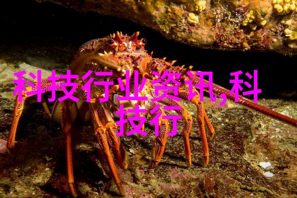 卧室装修效果图大全2013美观设计灵感