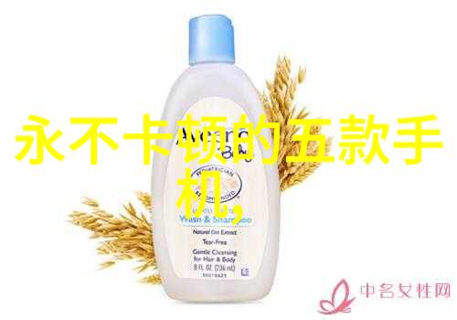 机械输送系统的创新发展与应用前景