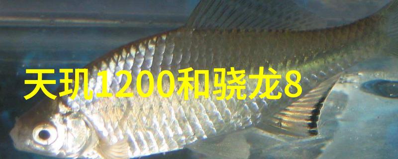 工业应用中的脉冲袋式除尘器技术革新ldb70系统的创新之处