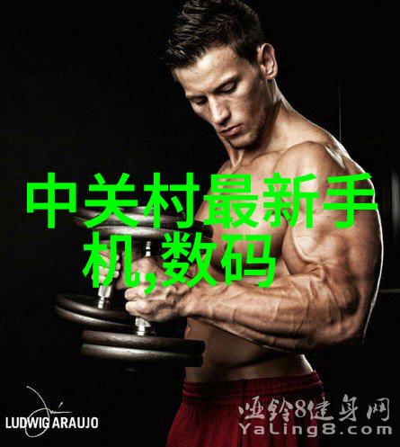探秘古剑传说还剑奇情录中的神秘遗迹与武功秘籍