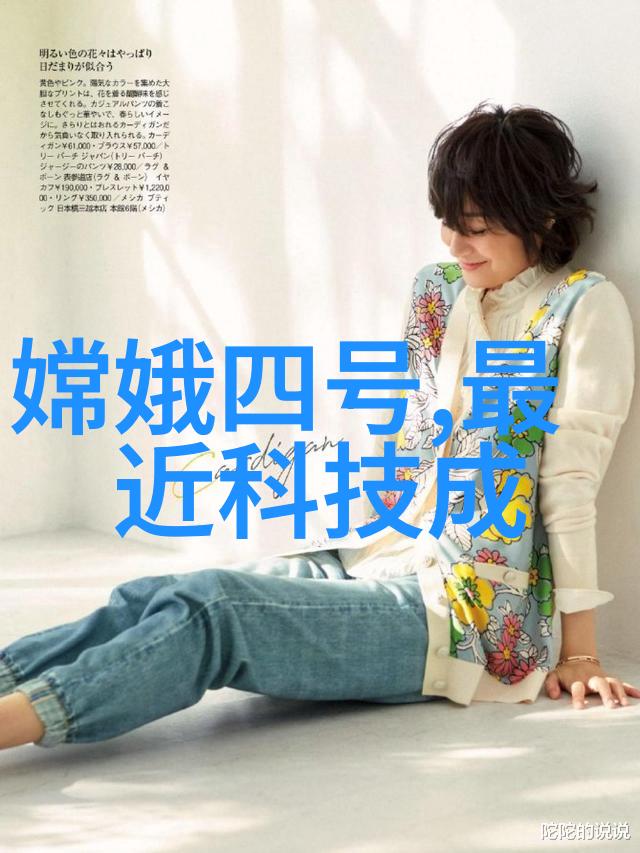 装修房子的风格设计图-空间美学创造个性化的居住艺术