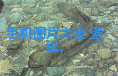 新华医疗脉动真空灭菌器引领医疗消毒革命