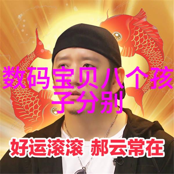 追逐花香探索小宝寻花录的奇妙世界