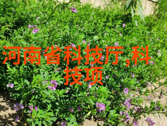 小空间卫生间的设计艺术如何通过装修效果图提升居住体验
