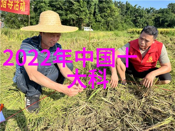 重生之苏洛的傲娇生活