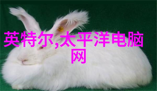 陕西工业职业技术学院-探索未来陕西工业职业技术学院的创新与发展