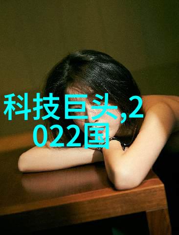 数据驱动的高性能流量仪器进口大流量减压器