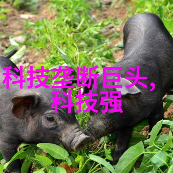 电子垃圾如何影响环境为什么要回收它们
