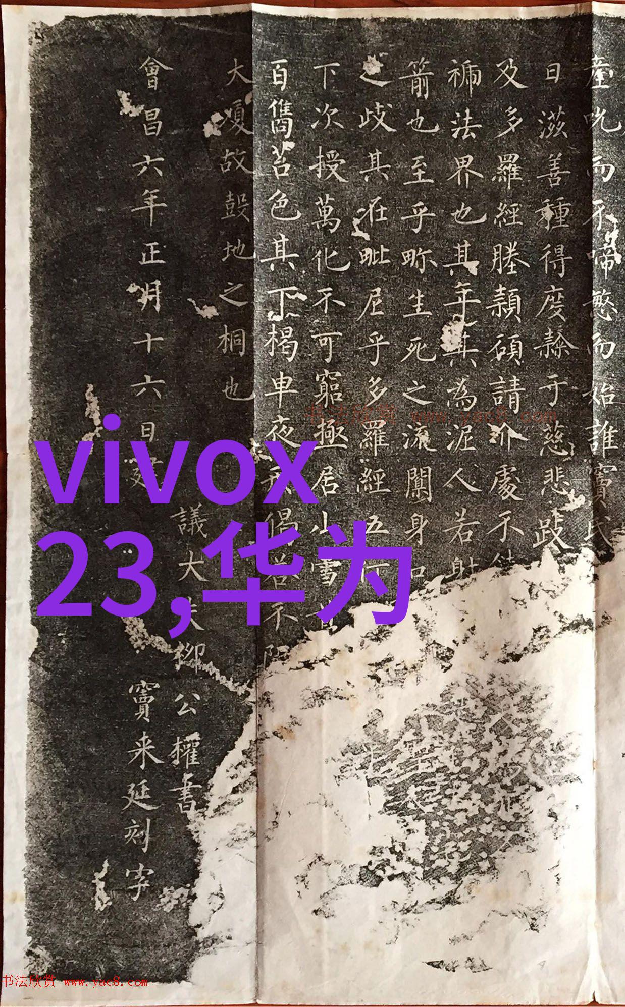 自动化包装检测技术的发展与应用实践