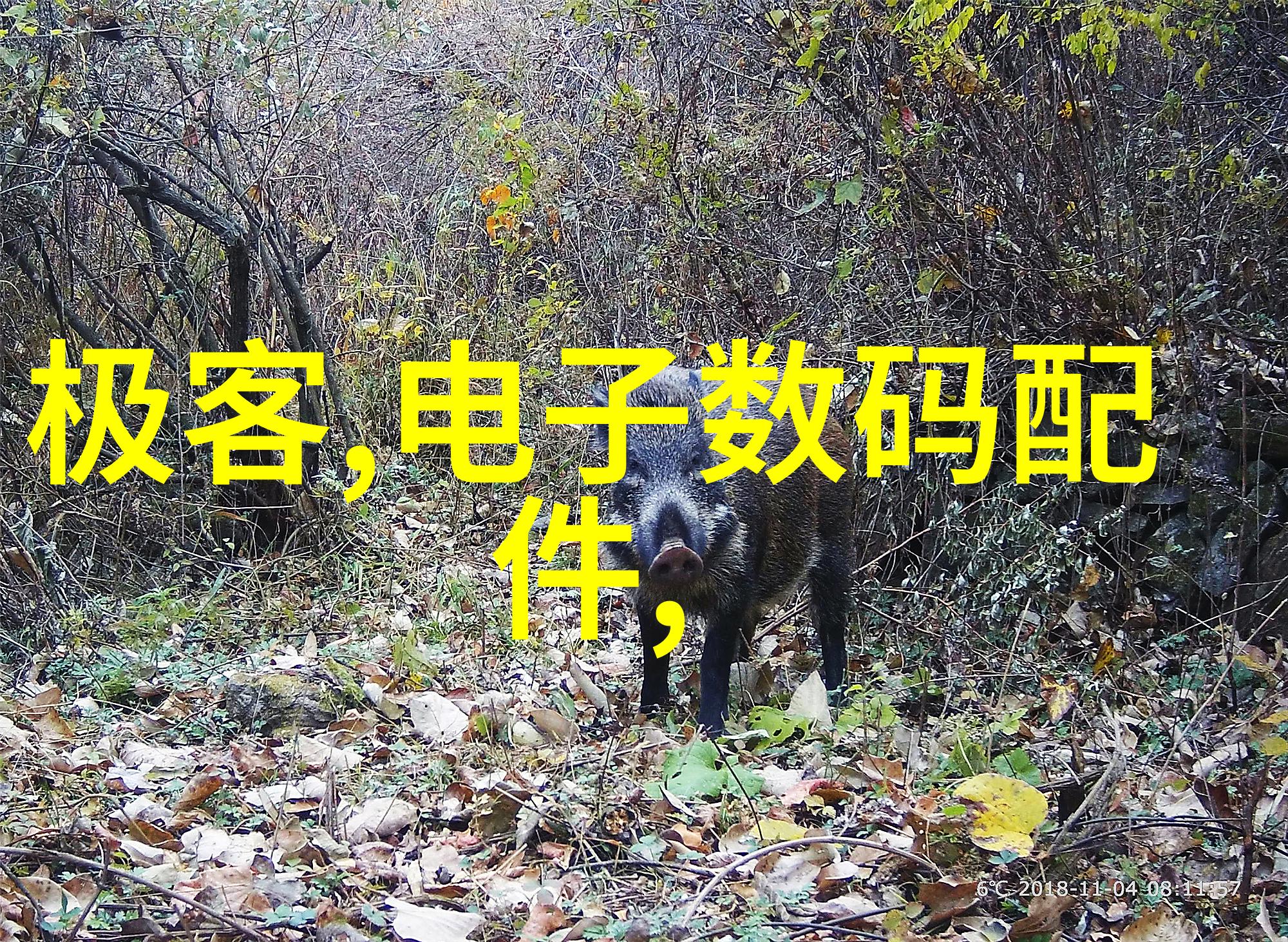 探索五道口职业技术学院培养技能型人才的殿堂