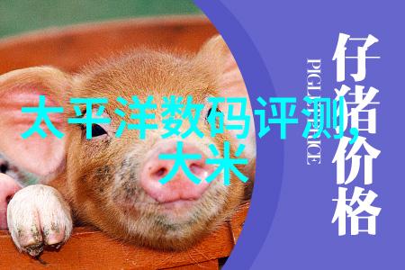 中国专利查询系统入口免费我来帮你找宝藏