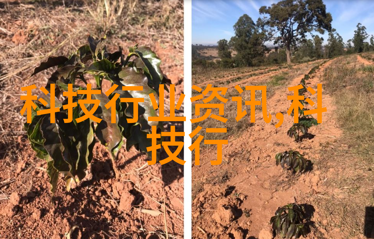 抛光技艺揭秘全抛釉陶瓷的制作过程