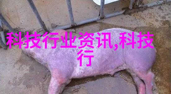 装修攻略大全及注意事情让装修师傅的技巧帮你省下2万