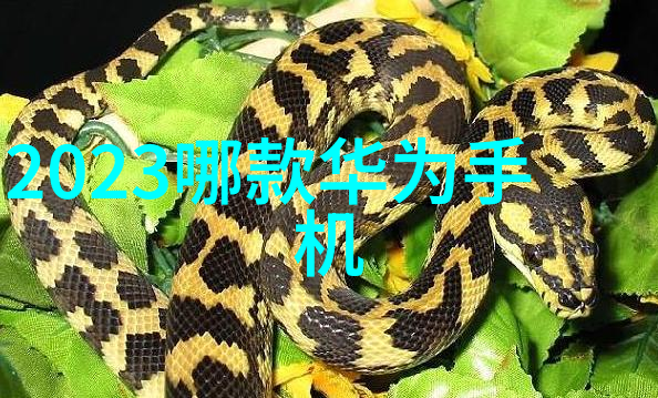 如何正确操作卡尔费休水分测定仪