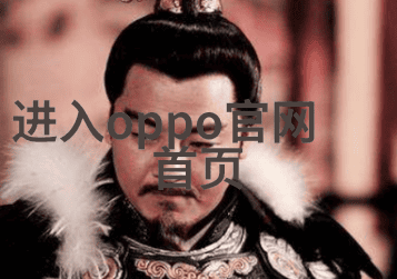 不锈钢陶瓷填料我的厨房小能手