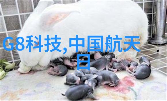 智冠天下之风流军师策略与诗情的双刃剑