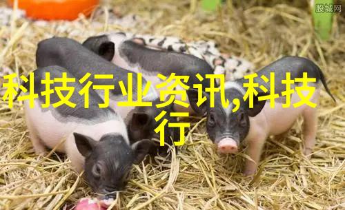 烟气净化技术与环境保护的深度探究创新处理方法的理论与实践研究