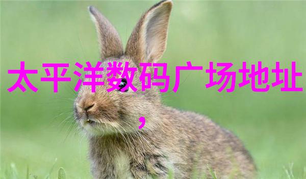 装修经典100句-百宝袋解锁家居装修的100个秘密