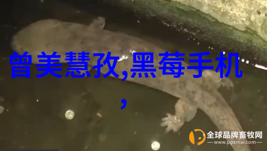 水管尺寸探秘流线之谜