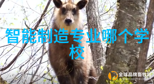 邪气凛然全文阅读我是如何在一夜之间读完那本神秘小说的