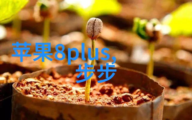 炽热的静默燃烧炉的悖谬