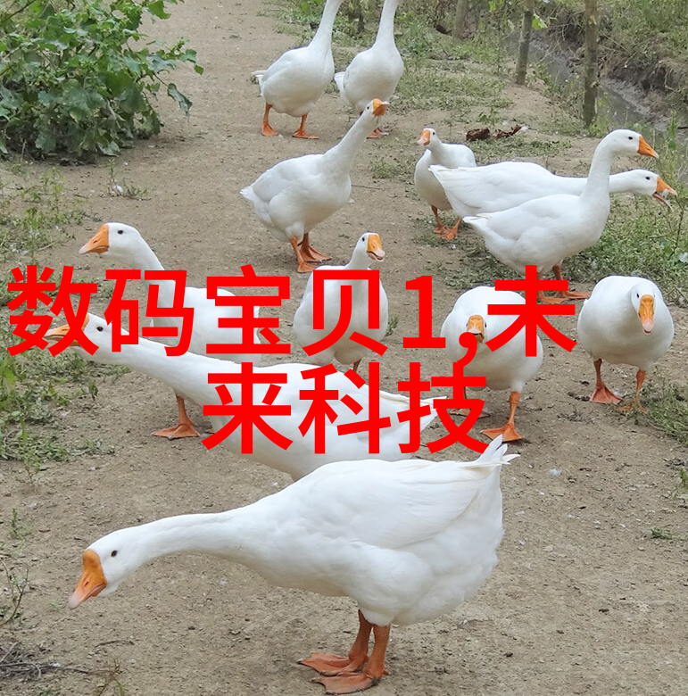 安全操作关键预防和处理气力输送设备故障技巧