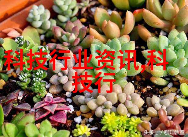 固体药品检测我的药物安全大探索