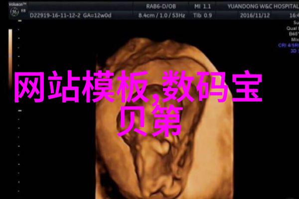 礼陵鑫荷化工填料公司中标案例分析供应链管理与风险控制的实证研究