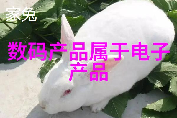 甄涵白探索情感的深度