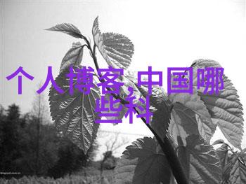屠宰设备的精细与力量剖析现代肉类加工行业的关键技术