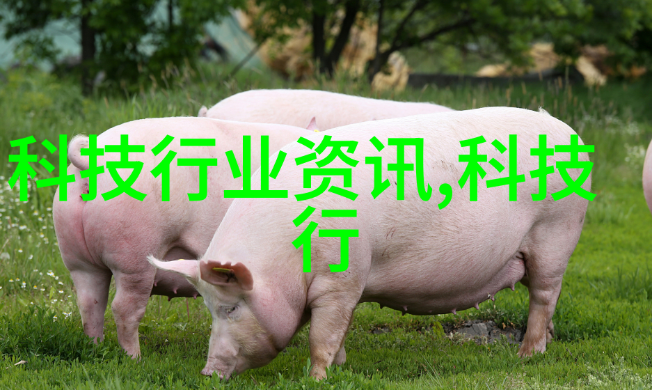 餐具消毒设备确保餐桌上的卫生安全