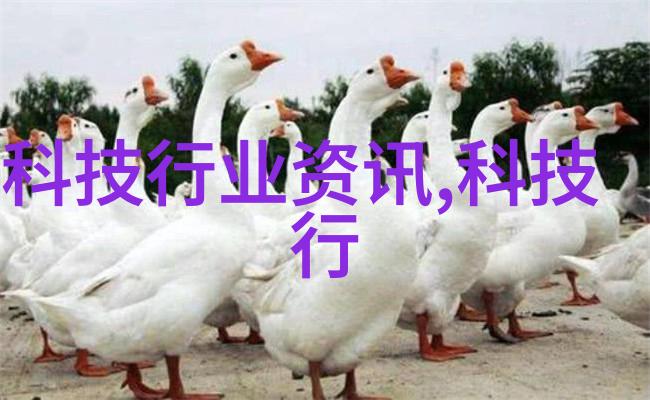 装修预算如何合理规划才能确保120平方米普通装修不超预算