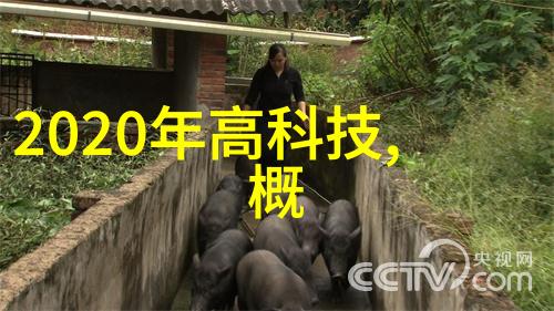 极致干燥探索真空冷冻技术的奇迹