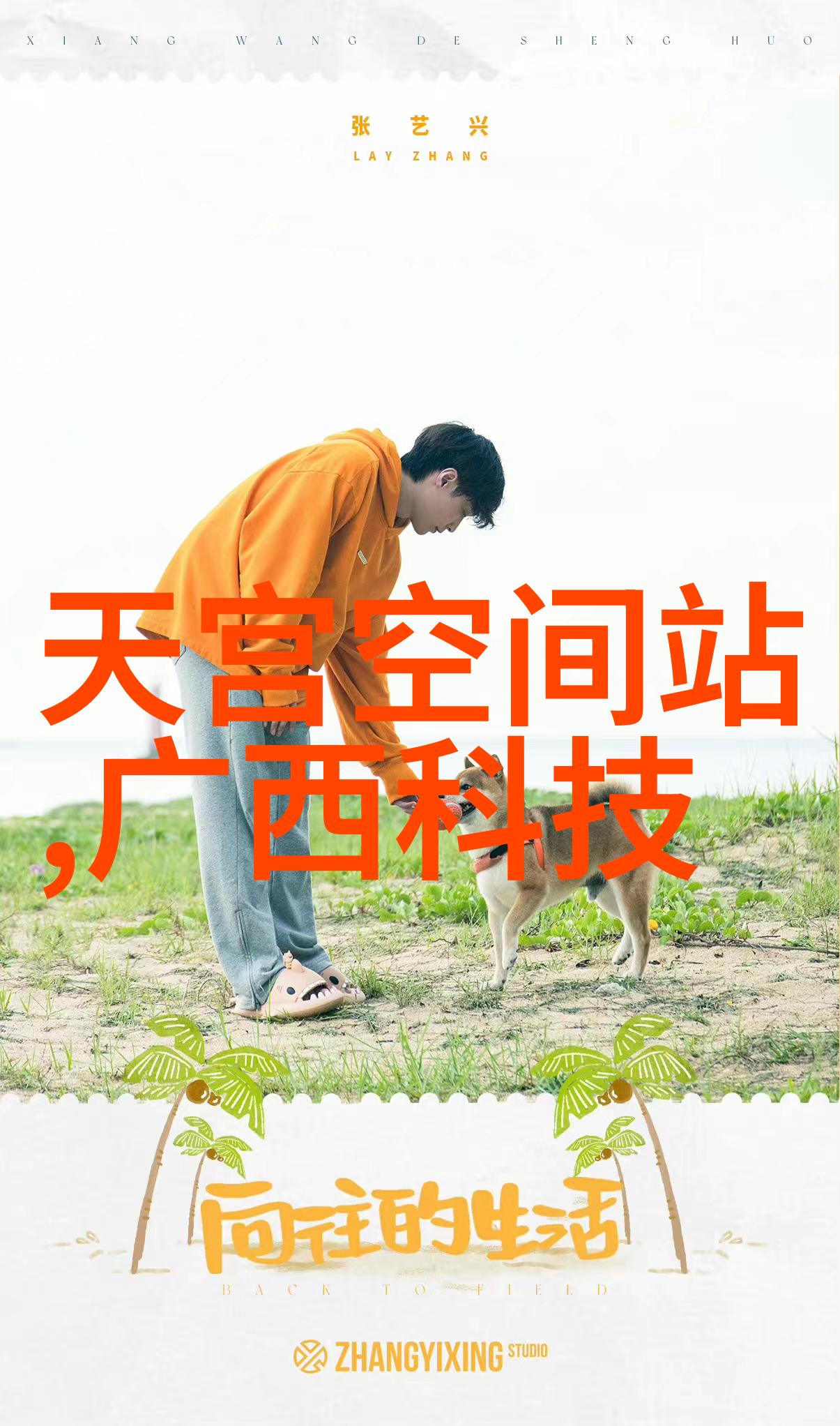 包装检测设备-提高产品质量的关键工具