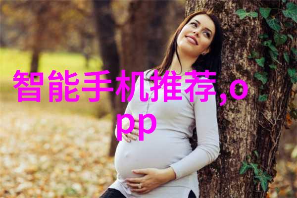 贮存设备的行业标准与法规合规与安全