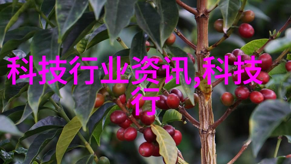 快速消毒灭菌器-高效杀菌新宠探索快速消毒灭菌器的科学与实用