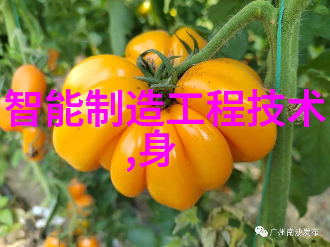装修水电设计图我是如何让家里的水电工程变得美观又高效的