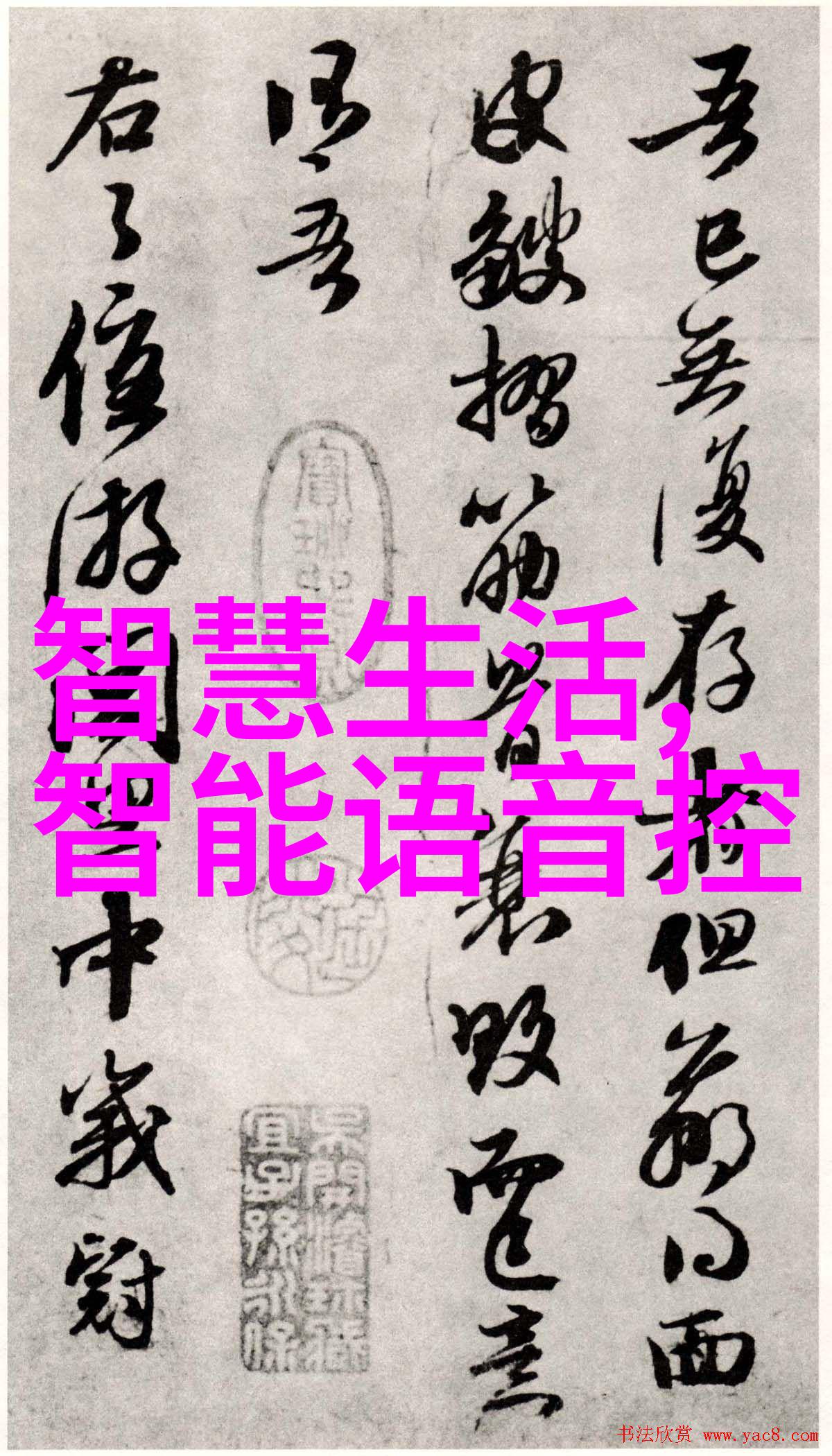 燃烧的宁静乙炔瓶内的秘密