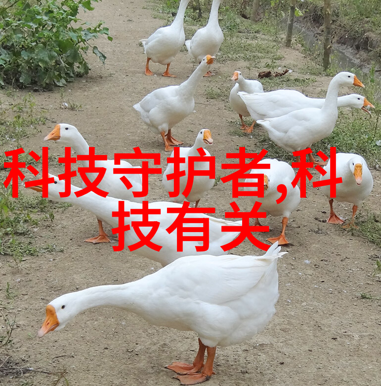 水质检测笔环境监测的灵敏助手