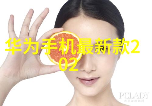 克服出国游沟通难题为什么翻立通T1成旅客首选在数字时代的数码市场中人物如何选择最佳工具