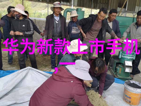 如何选择合适的河道清淤技术和设备