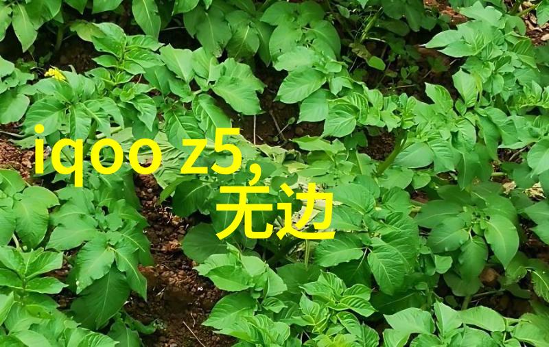二手泥土分离机的购买流程对初学者来说又是怎样的体验