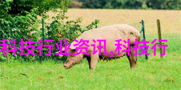 水源之谜揭开生活用水检测的真相与成本