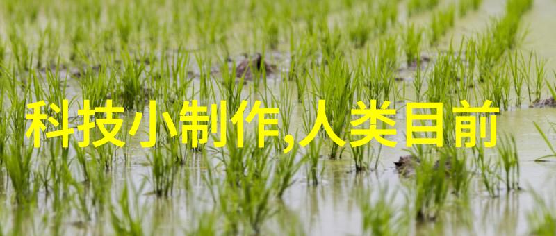 工业环境优化ldb70脉冲袋式除尘器的应用与效益分析