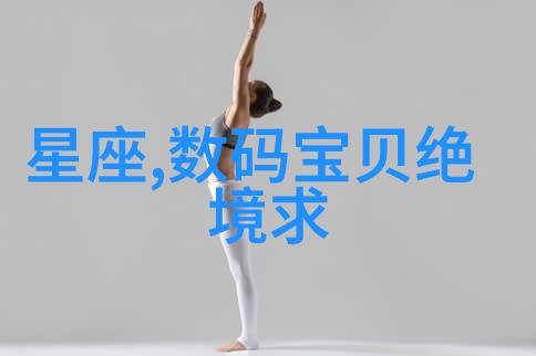 高效环保垃圾焚烧炉生产厂家专业制造节能环保型垃圾处理设备