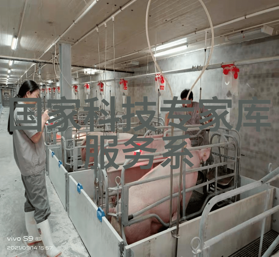 真空干燥设备我是如何用它来完美烘焙蛋糕的