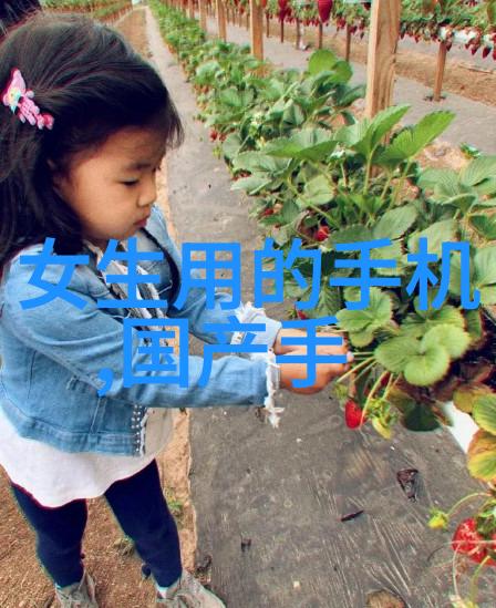 在有限的预算下如何做出既美观又实用的店面装修方案